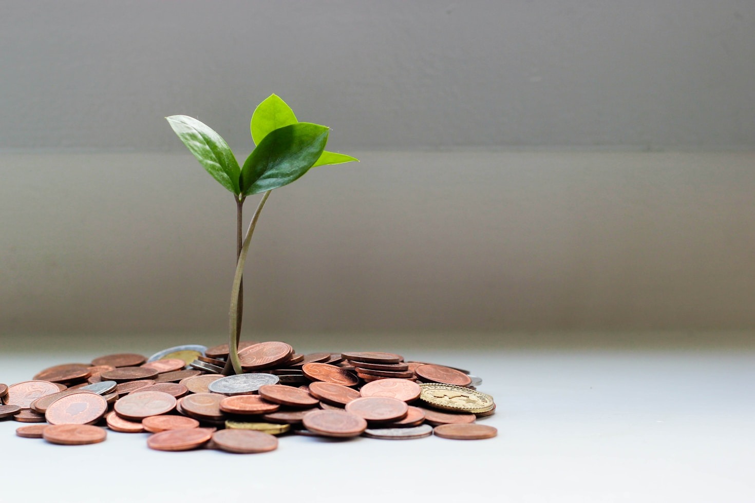 10 Reasons to Choose Shariah-Compliant Investments
